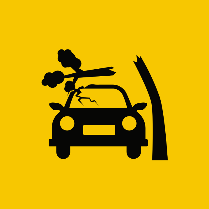 FENÔMENOS DA NATUREZA